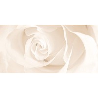Настенная вставка Cersanit Effecta бежевый 29,8x59,8 EC2L011